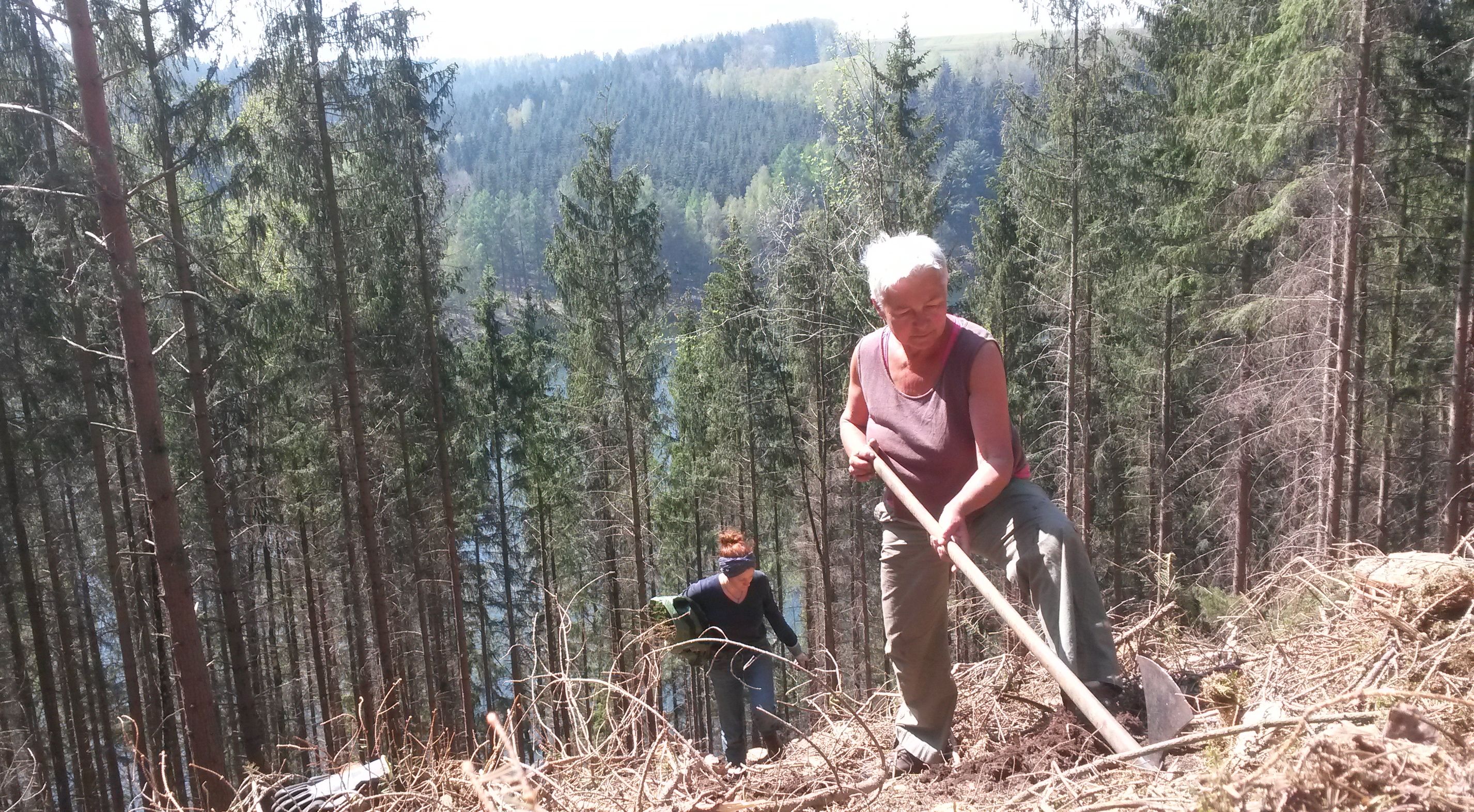 In Bärenfels im steinigen Steilhang