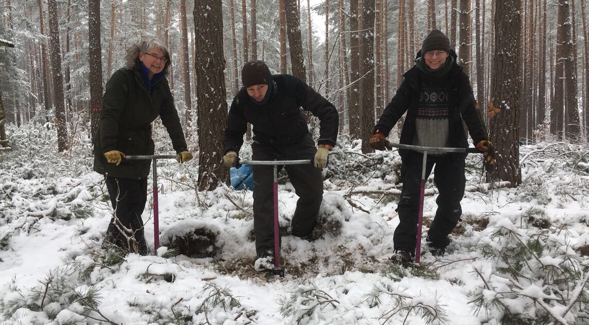 Drei mit Lenker im Schnee Drei mit Lenker im Schnee
