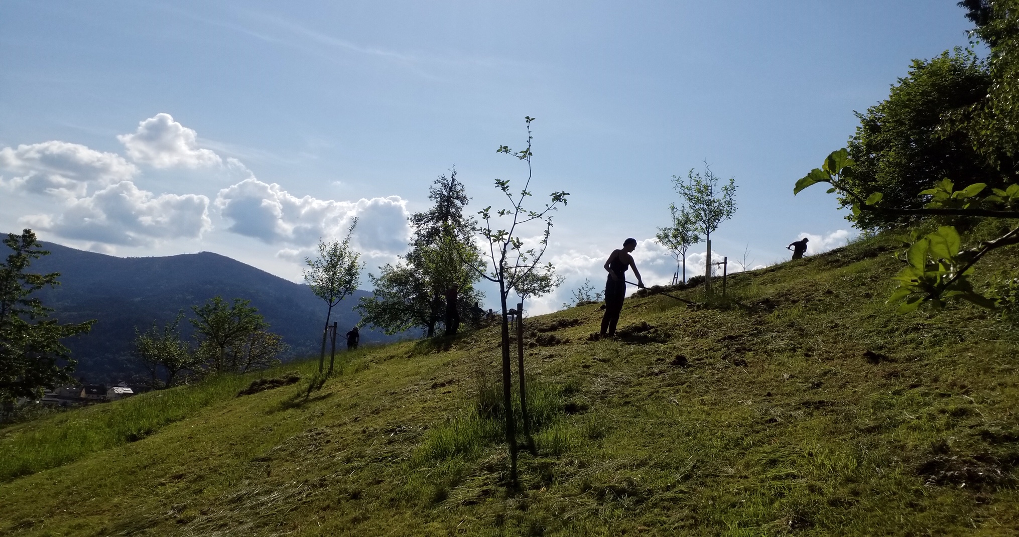 Rechen im Stifterhain Bermersbach