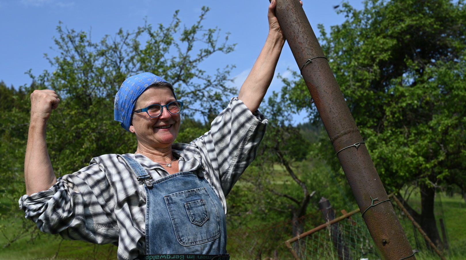 Altprivatgartenzaunentfernung Altprivatgartenzaunentfernung
