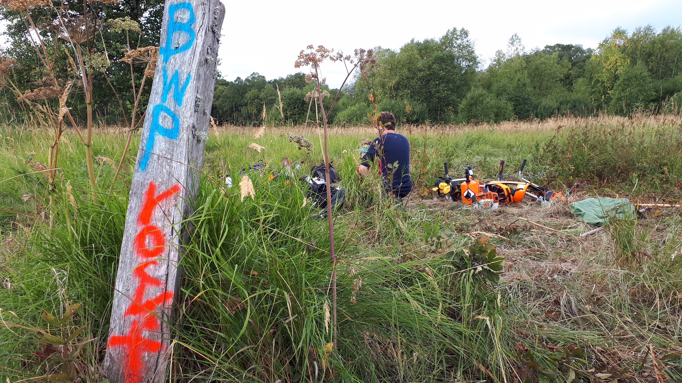 BWP rockt auch den Borstgrasrasen BWP rockt auch den Borstgrasrasen