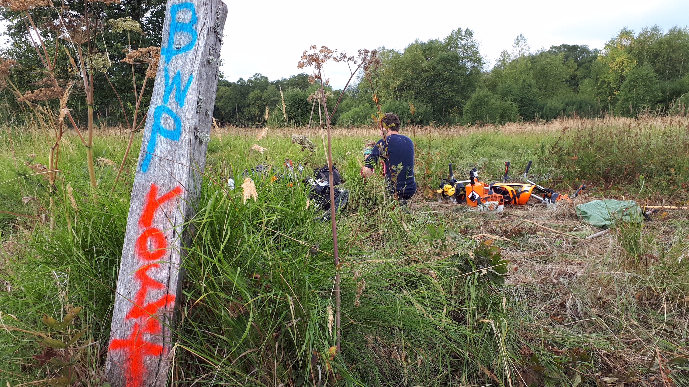 BWP rockt auch den Borstgrasrasen