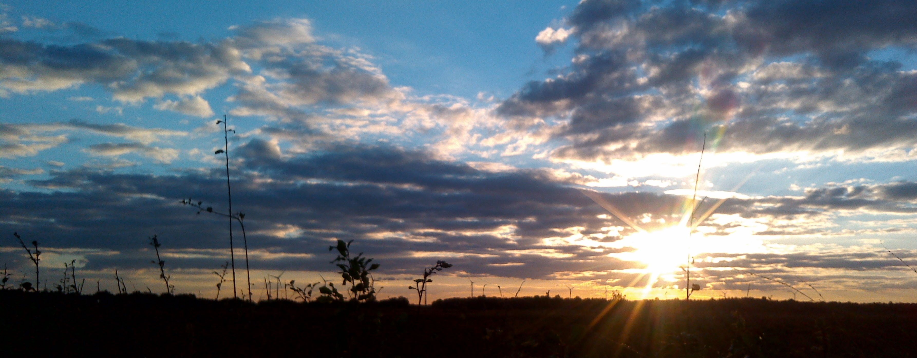 Moorniederung bei Sonnenuntergang