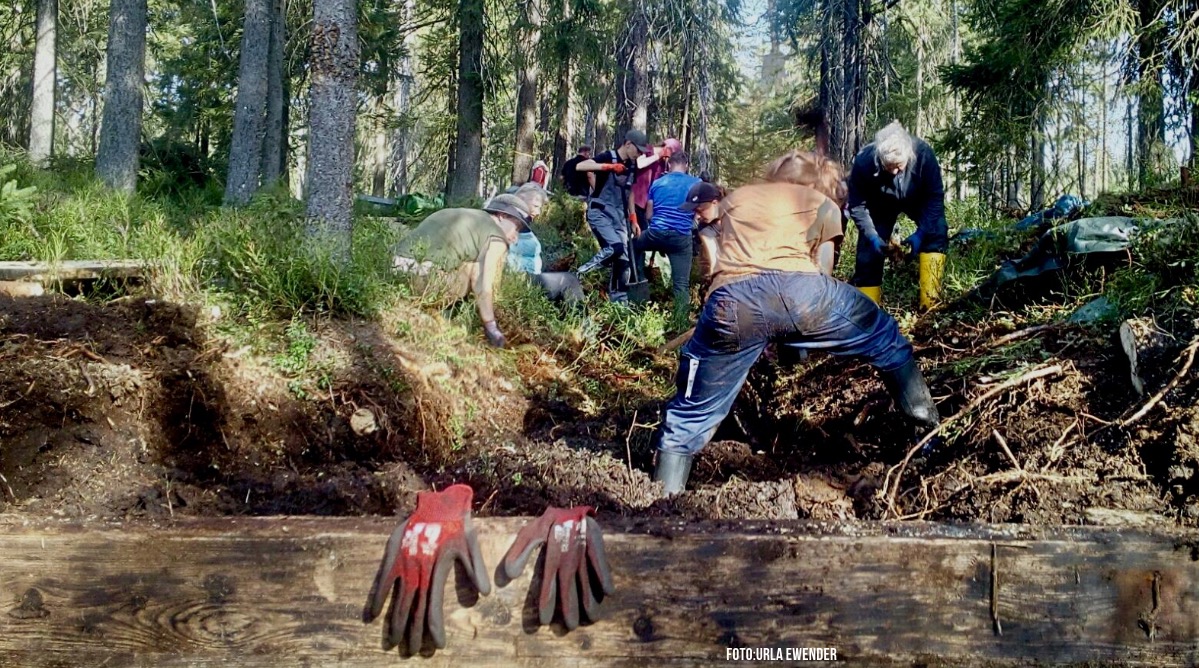 Langer Entwässerungsgraben im Hochwald wird verfüllt Langer Entwässerungsgraben im Hochwald wird verfüllt