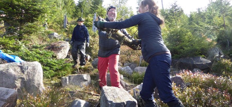 Landschaftspflege im Murgtal