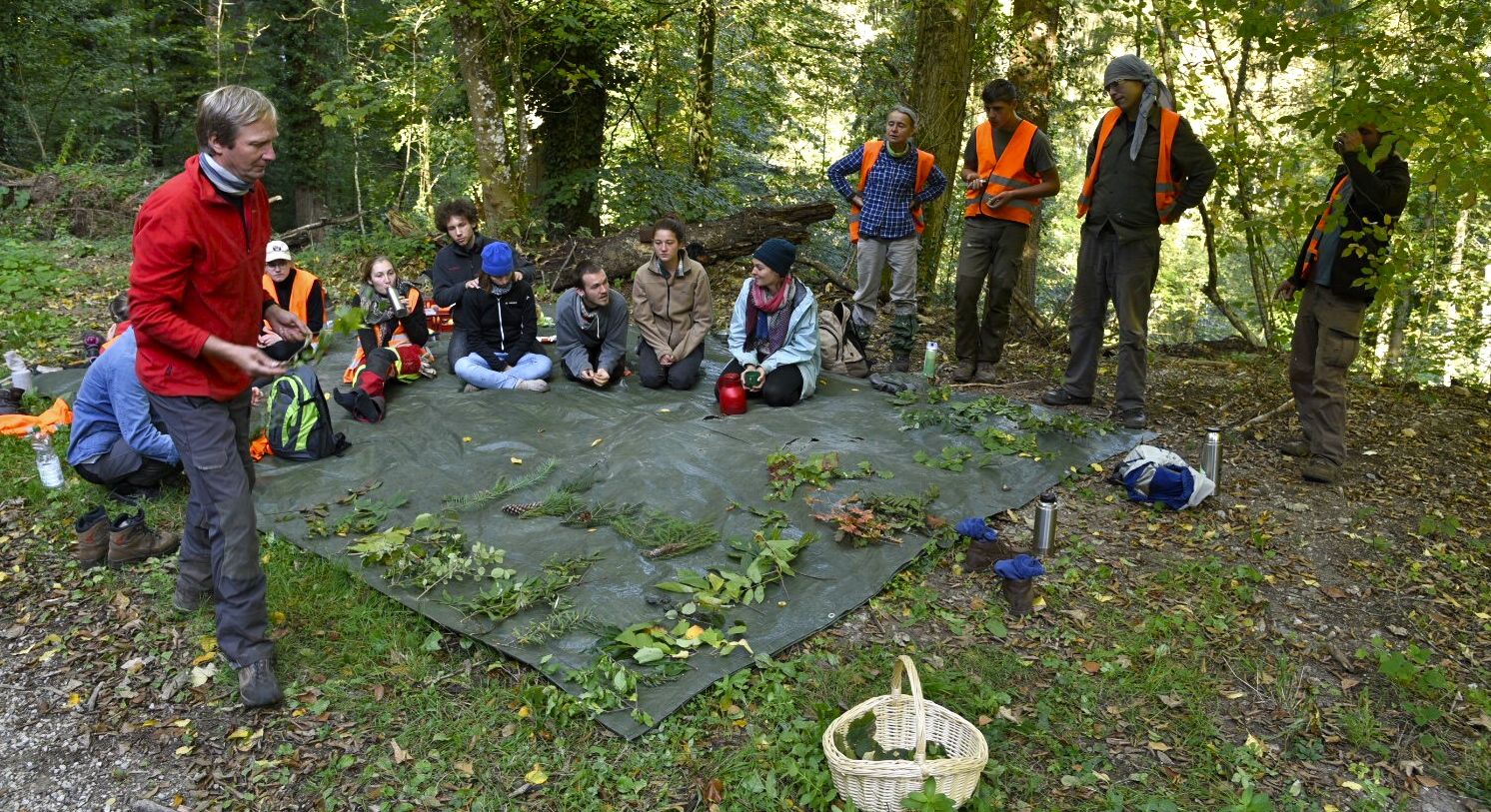 57 Baum- und Straucharten wurden gefunden 57 Baum- und Straucharten wurden gefunden