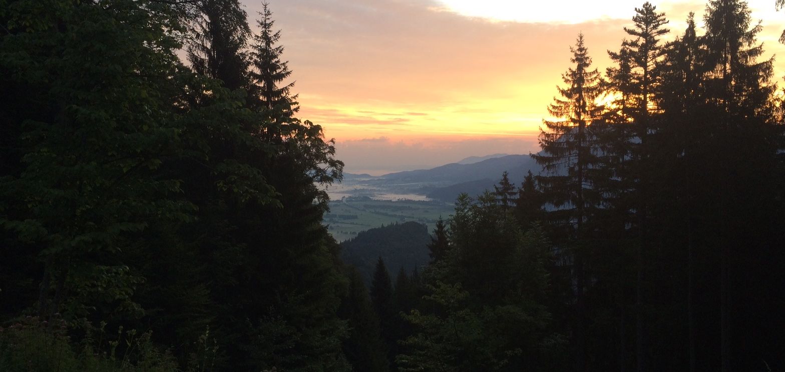 Fünf Uhr morgens. In der Ferne schimmert München.