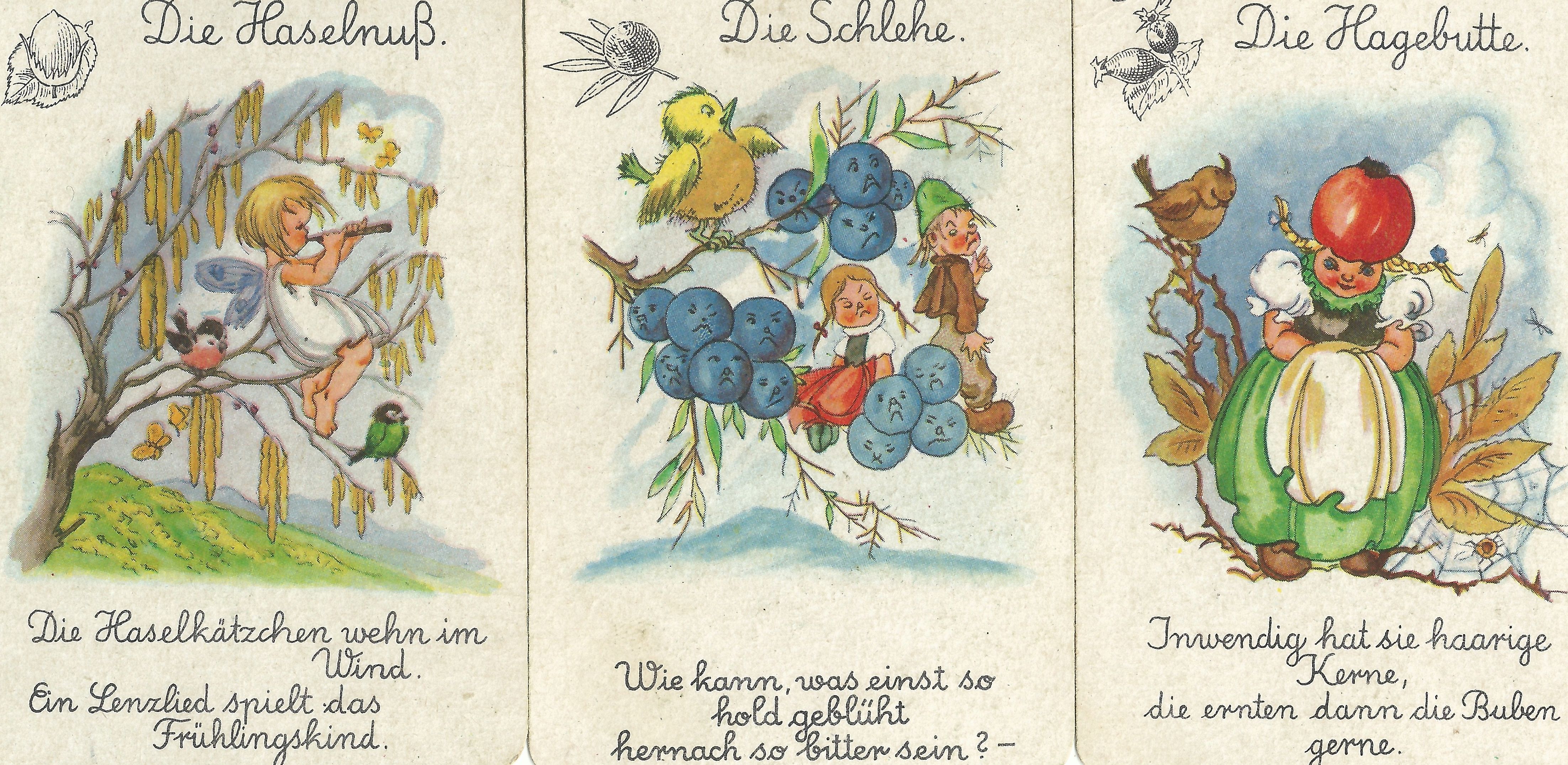 Das lustige Früchteterzett aus dem Waldessaumquartett Das lustige Früchteterzett aus dem Waldessaumquartett