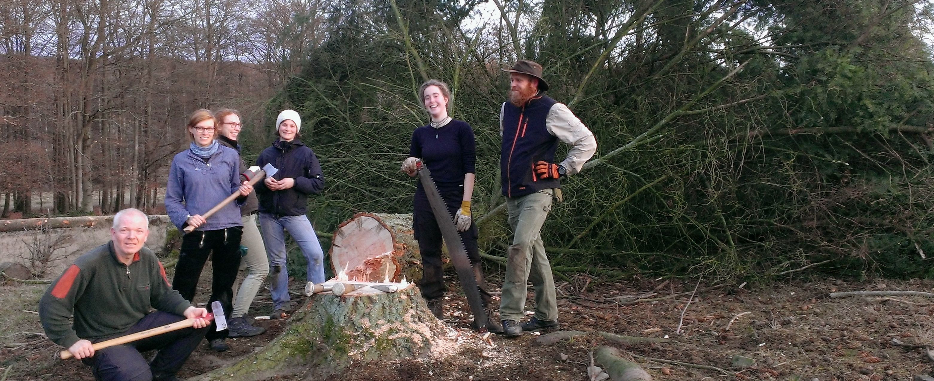 Holzhauer vor gefällter Douglasie im Kellerwald