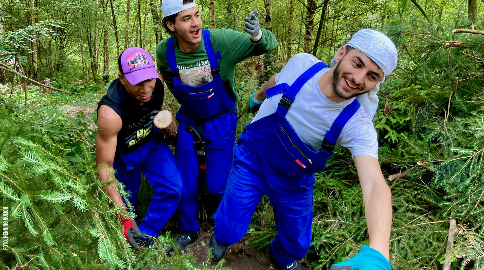 Fichtenziehen am Bachlauf Fichtenziehen am Bachlauf