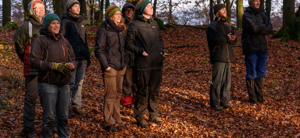 Novembersonnetankende Freiwillige im Pfälzer Wald