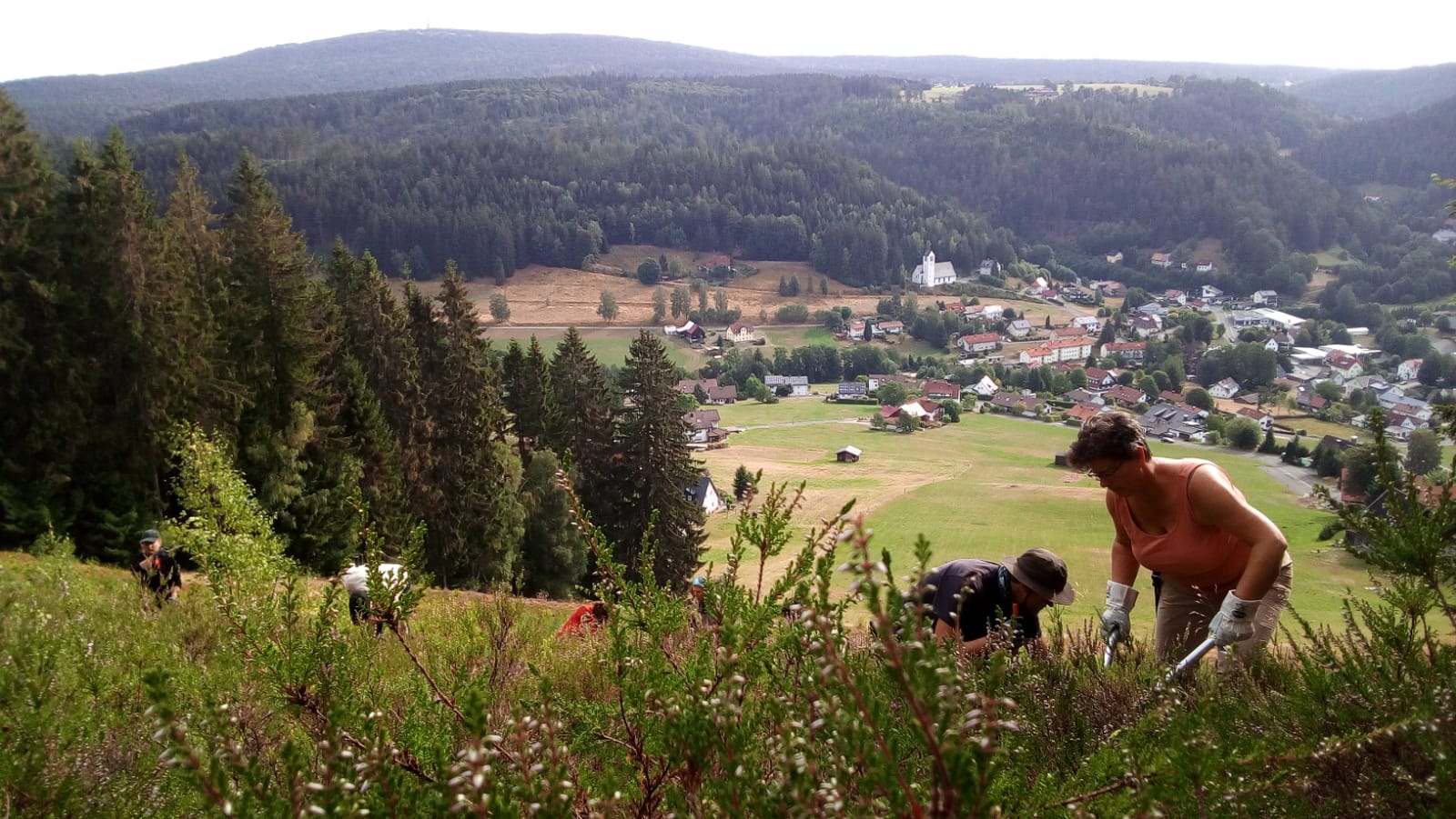 Entbuschung auf einer ehemaligen Skipiste Entbuschung auf einer ehemaligen Skipiste