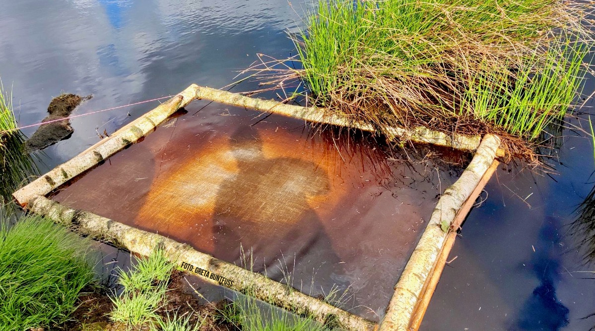 Das Wasserbeet für Torfmoose Mit Juge bespanntes Birkenholzrechteckt im Entwässerungsgraben