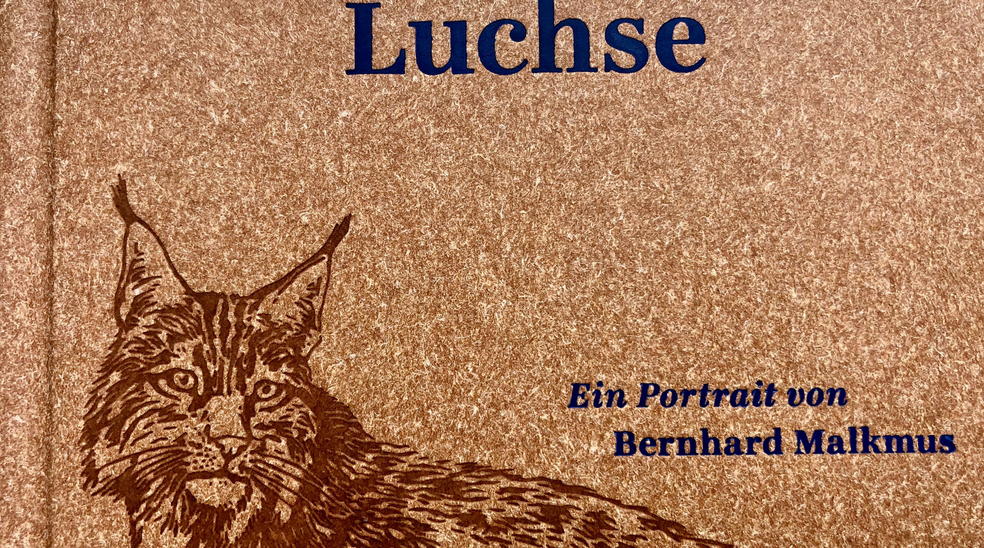 Ein Luchs als Covergirl Ein Luchs als Covergirl