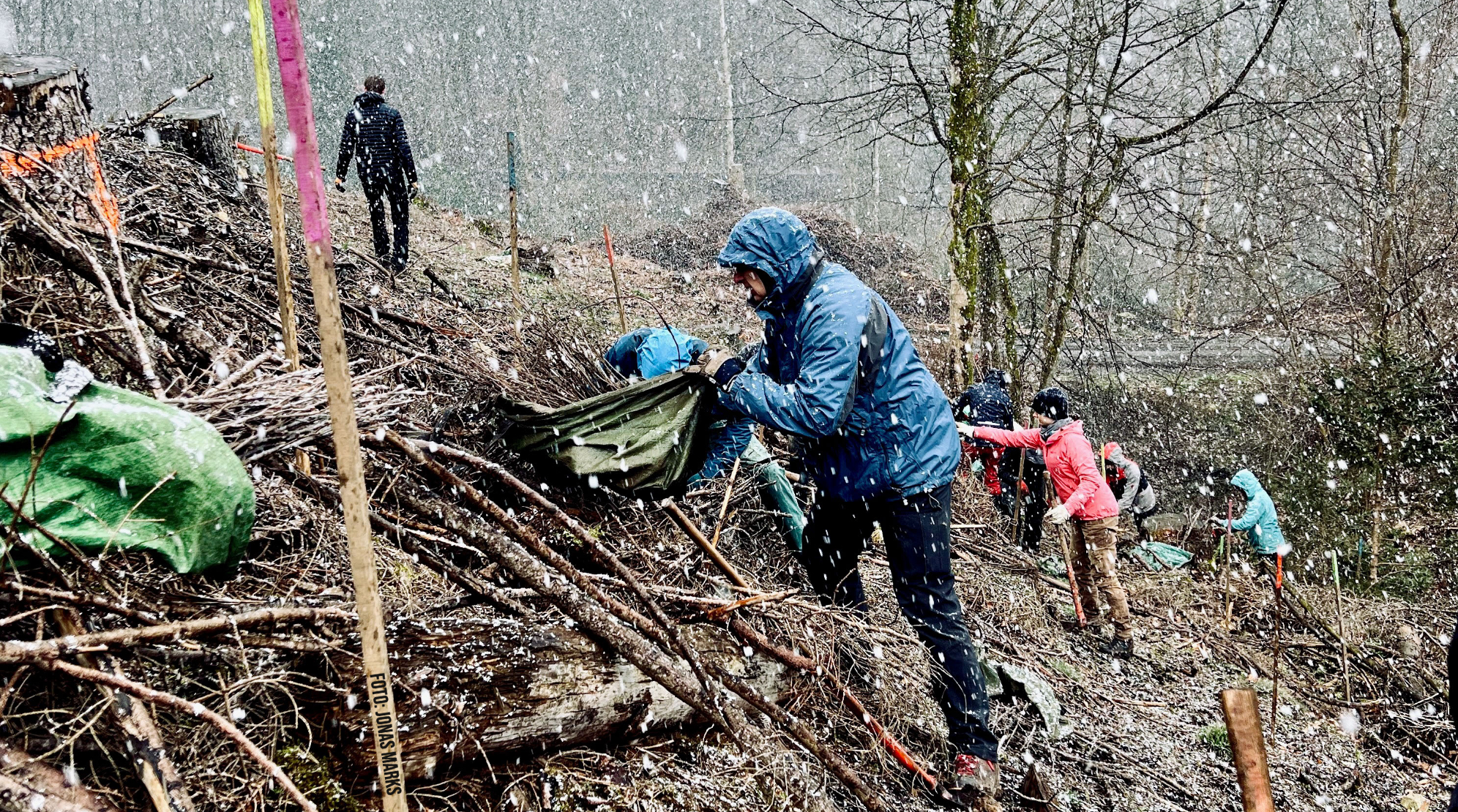 Pflanzung unter fallendem Schnee Pflanzung unter fallendem Schnee