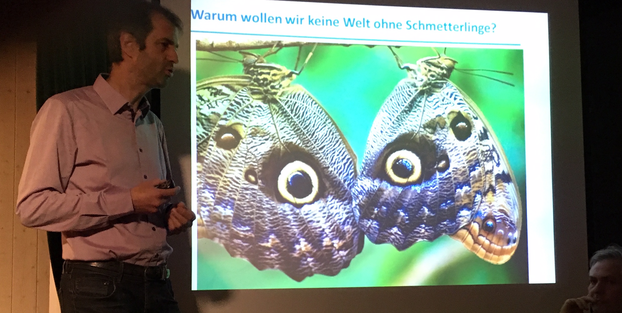 Erst wenn der letzte Schmetterling vorbeigeflattert ist... Erst wenn der letzte Schmetterling vorbeigeflattert ist...