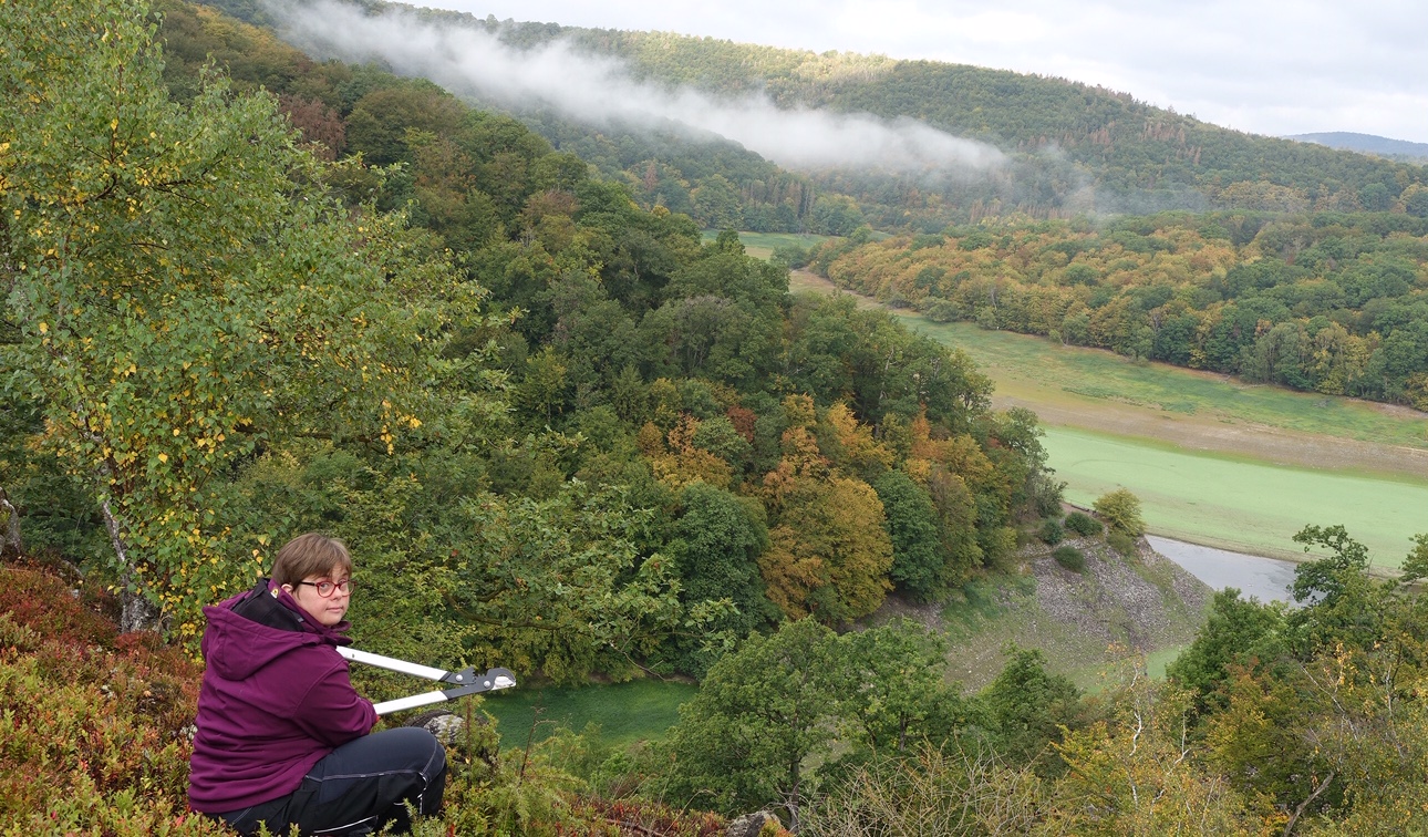 An der Waldkante zum Edersee An der Waldkante zum Edersee