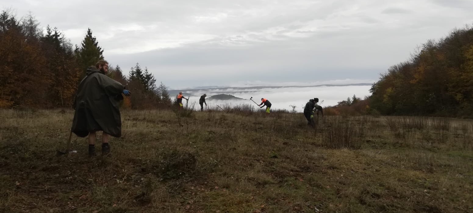 Brombeeren bekämpfen über dem Nebelmeer Brombeeren bekämpfen über dem Nebelmeer