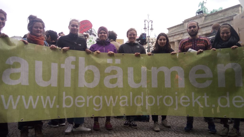 Aufbäumen auf der Straße Aufbäumen auf der Straße