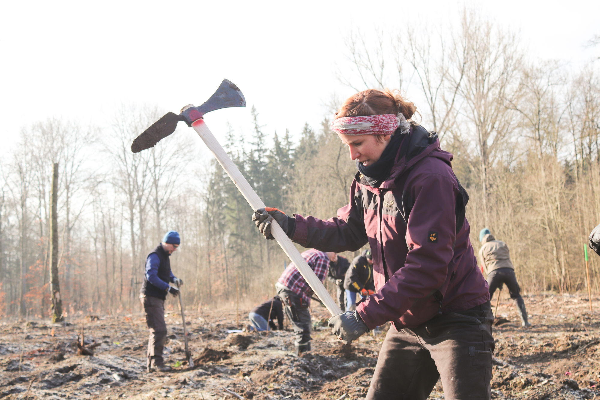 Junge Frau mit Wiedehopfhaue bei der Planzung