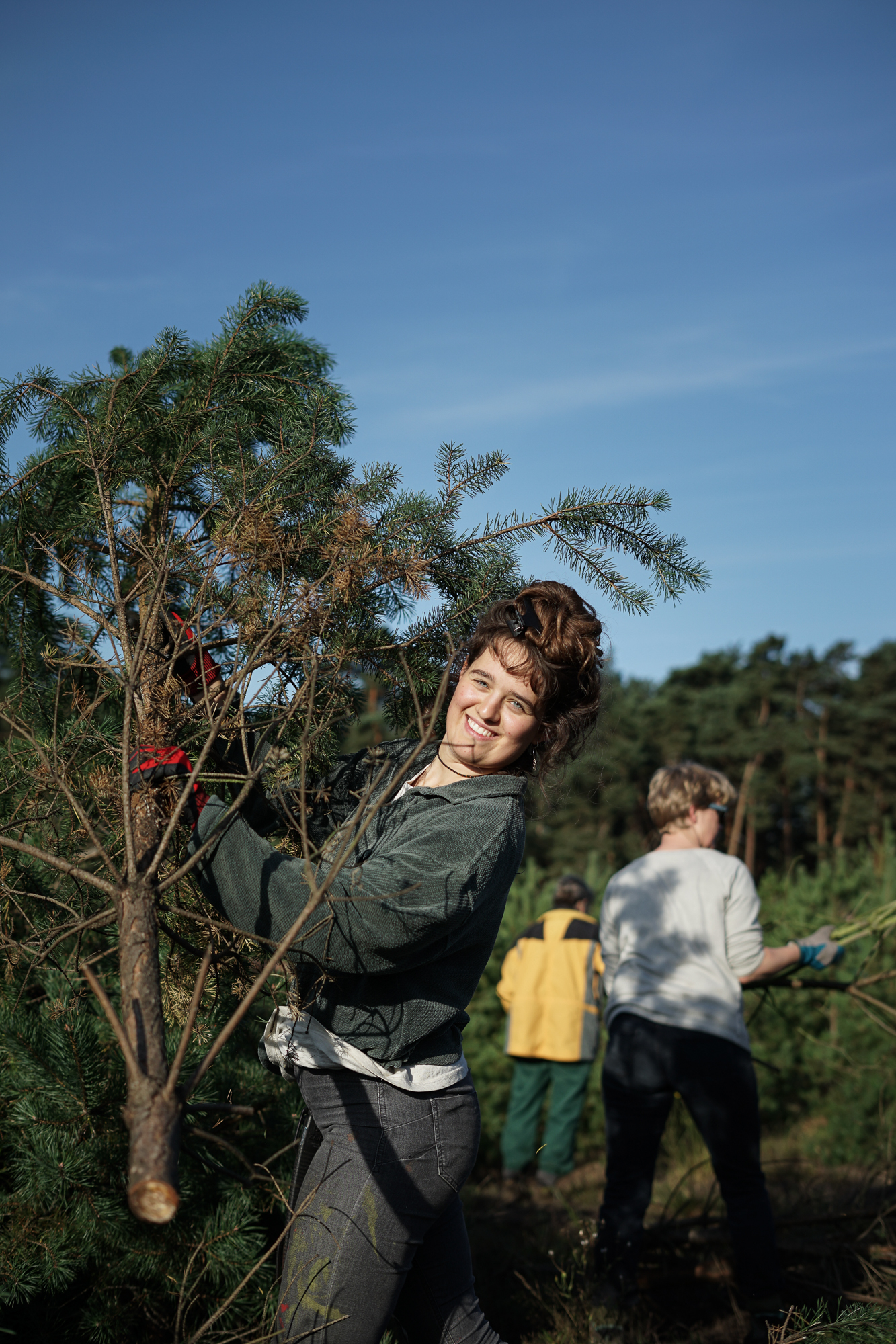 Junge fröhliche Frau mit gefällter Kiefer