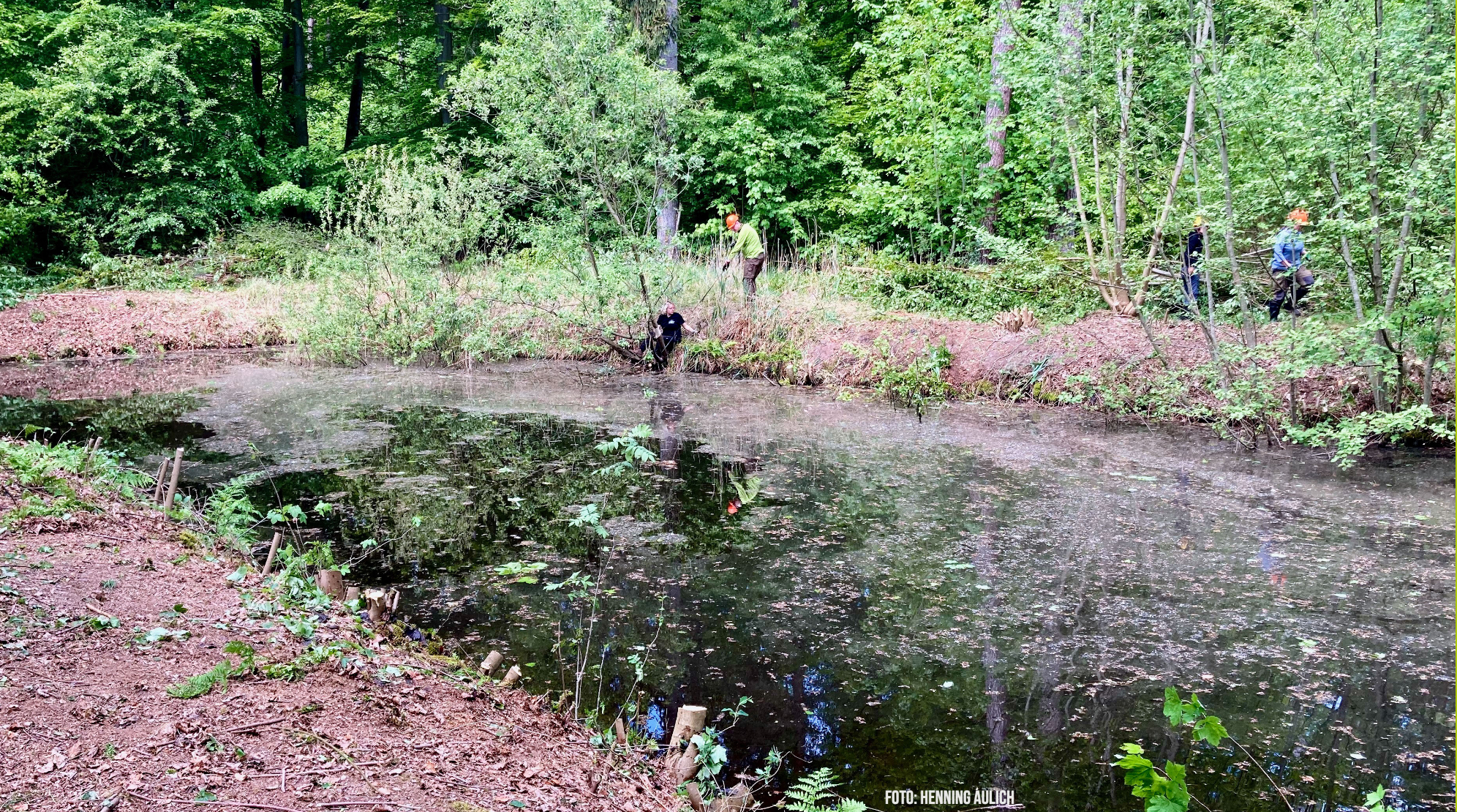 Teichfreistellung kurz vor Abschluss