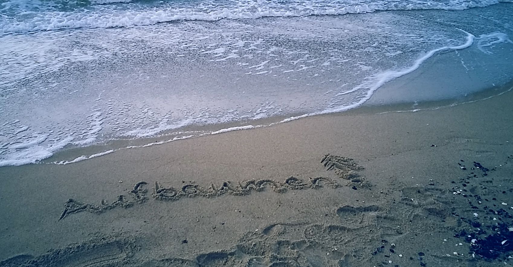 Aufbäumen am Strand Aufbäumen am Strand
