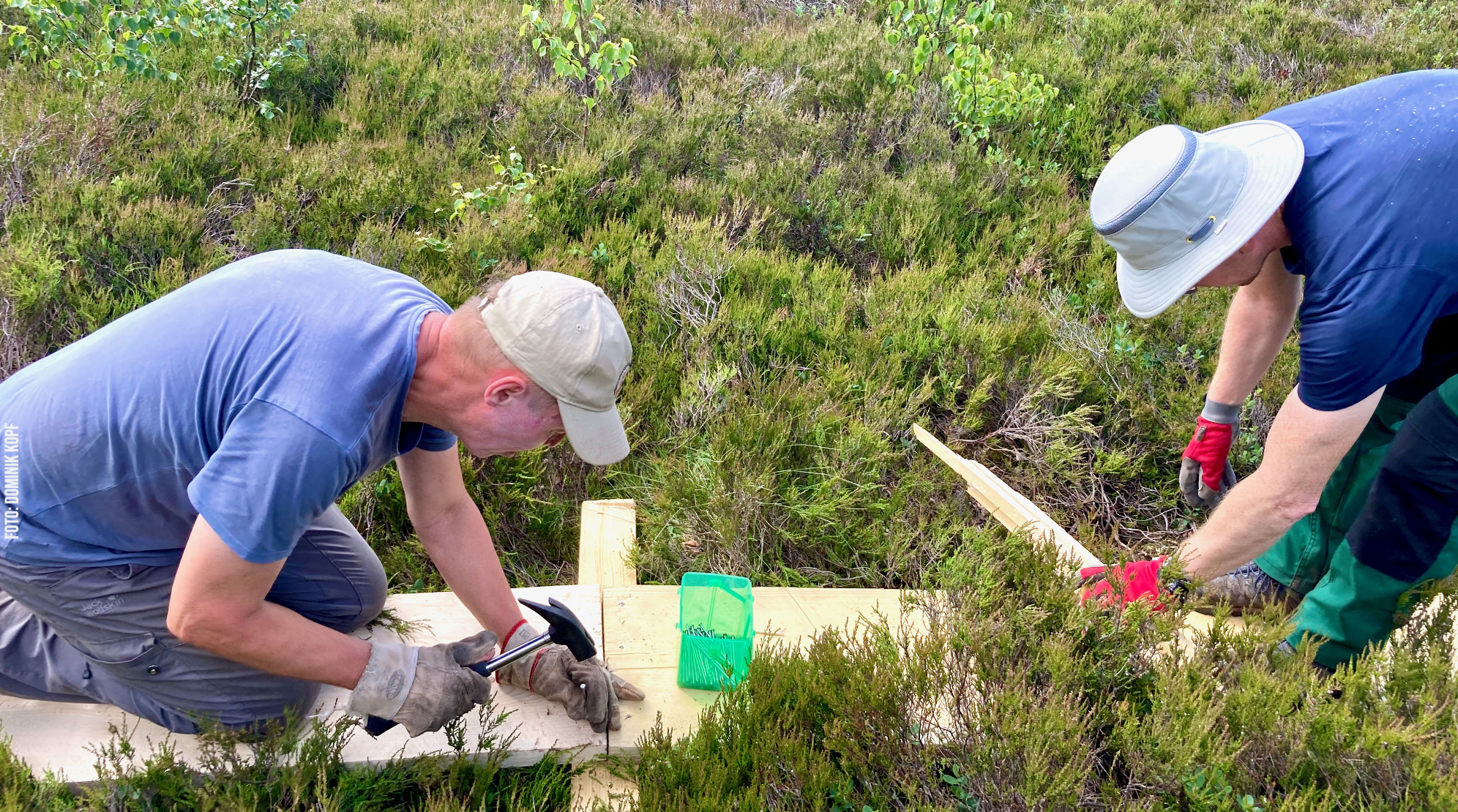 Bohlenwegerweiterung im Roten Moor Bohlenwegerweiterung im Roten Moor