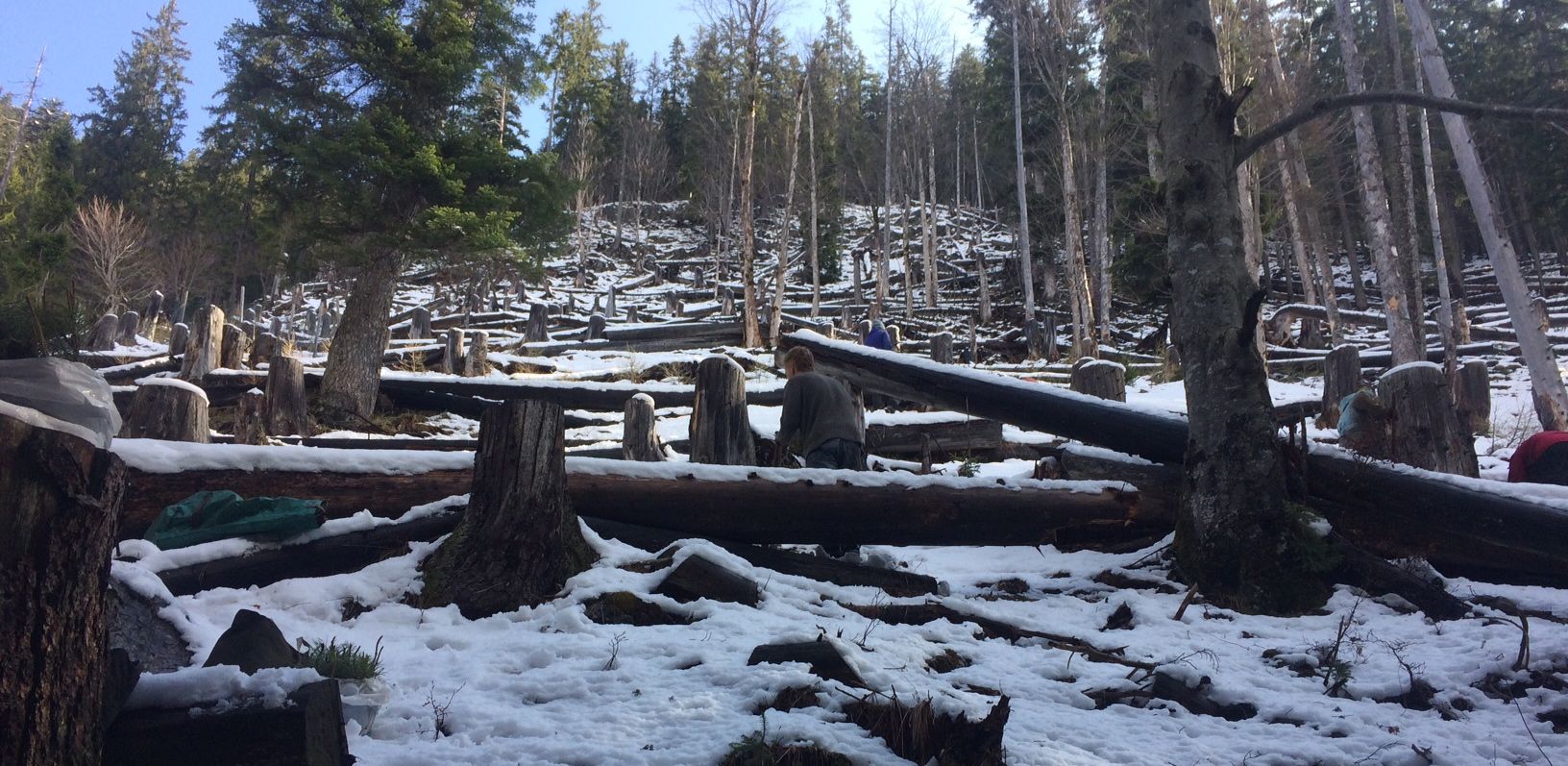 Neuschnee, Nochschnee und Baldwiederwegschnee