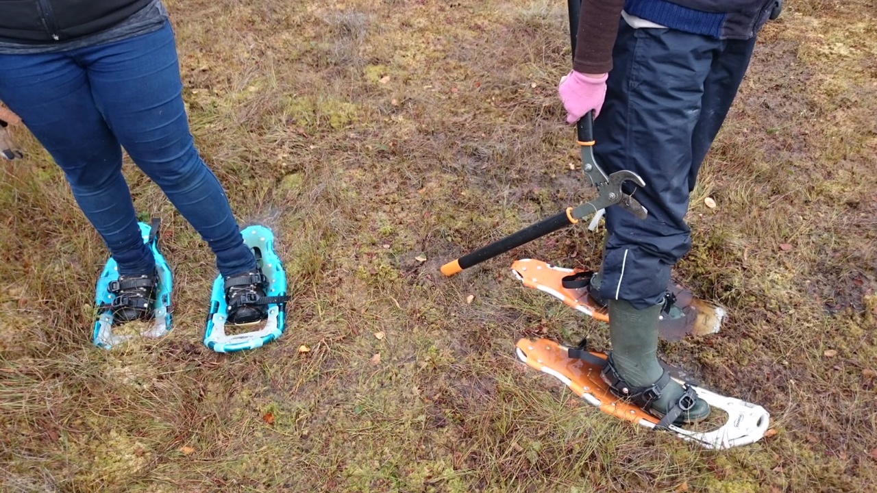 Schneeschuhe auf Schwingrasen, 1408 x 792