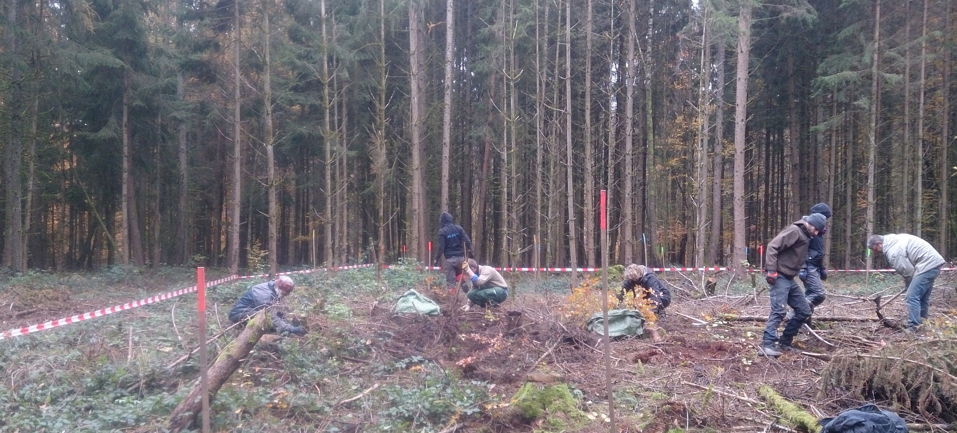 Keine Unfall-, sonder lediglich Pflanzstelle Keine Unfall-, sonder lediglich Pflanzstelle