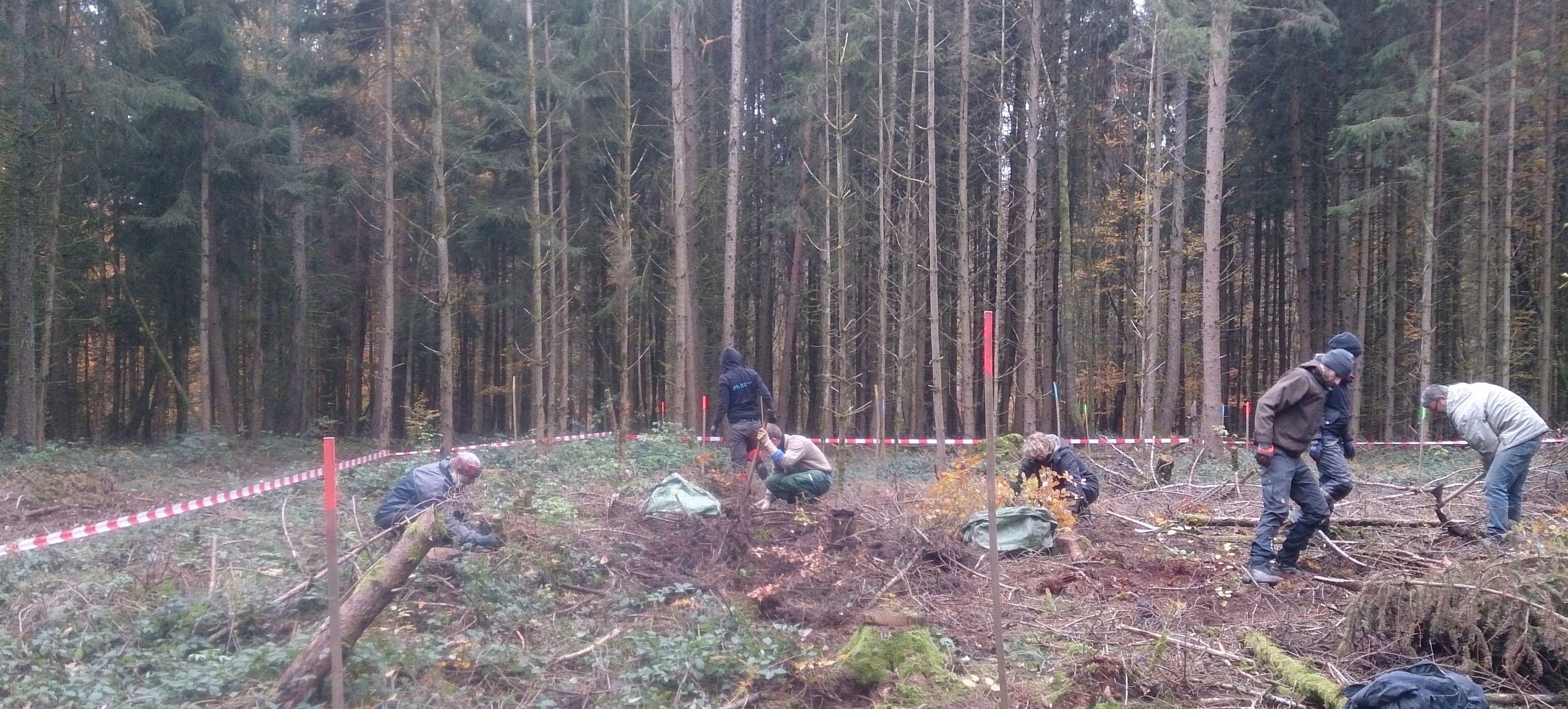 Keine Unfall-, sonder lediglich Pflanzstelle