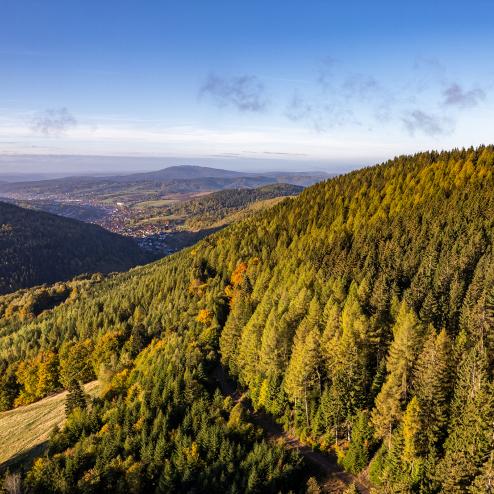 Unterschönau Bergwaldprojekt