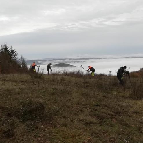 Brombeeren bekämpfen über dem Nebelmeer