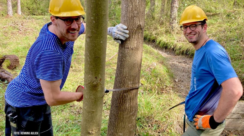 Zwei Männer wollen mit kleiner Handsäge Bäume fällen