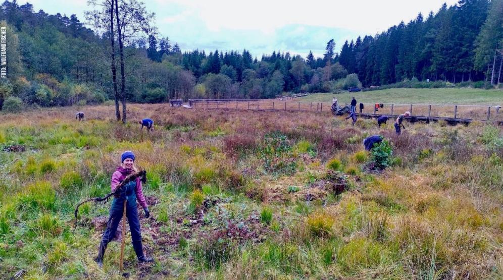 Freiwillige in Moor und Landschaftspflege