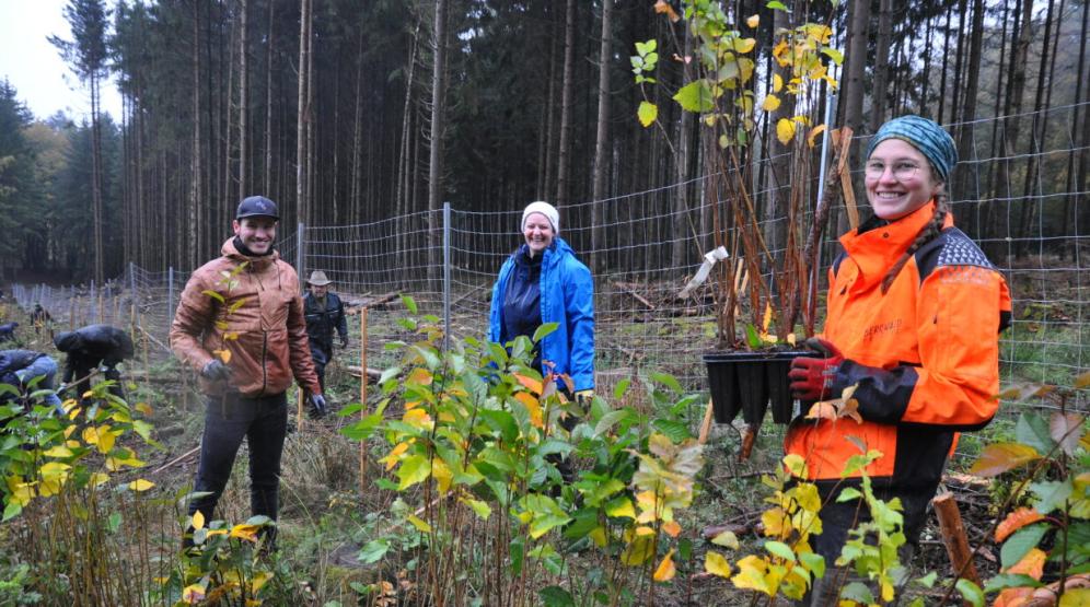 zwei Freiwillige im Wald, eine Person hält mehrere junge Bäume, die gleich gepflanzt werden sollen, in die Kamera