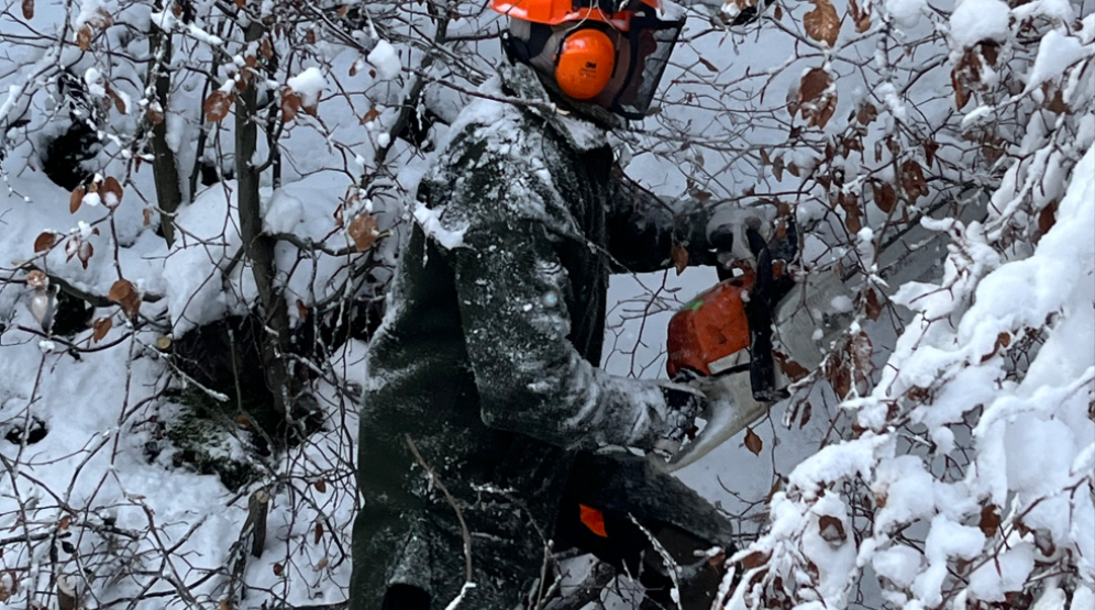 Person schneidet im Schnee einen Baum mit der Motorsäge