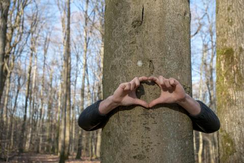 BWP_Galerie_Suffizienzprojekte_18