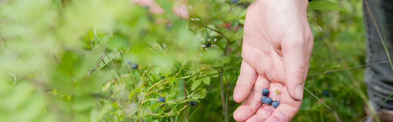 BWP_Galerie_Familienprojekte8