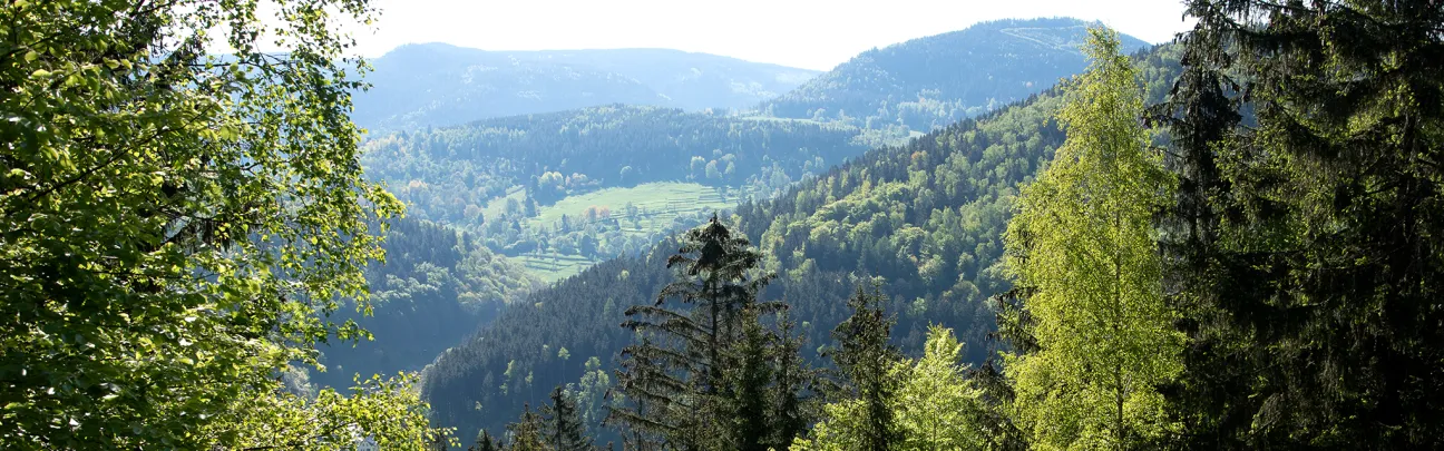 BWP_Galerie_Unterschoenau_11.