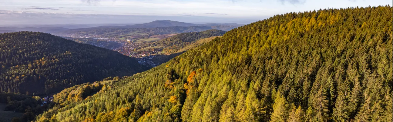 BWP_Galerie_Unterschoenau_14