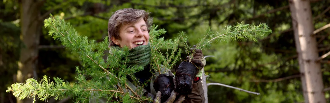 Lächelnder junger Mann trägt Nadelbaum-Setzlinge