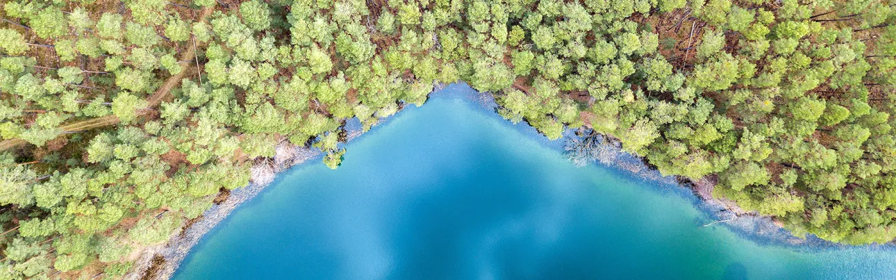 See- und Waldlandschaft in Adamswalde aus der Vogelperspektive