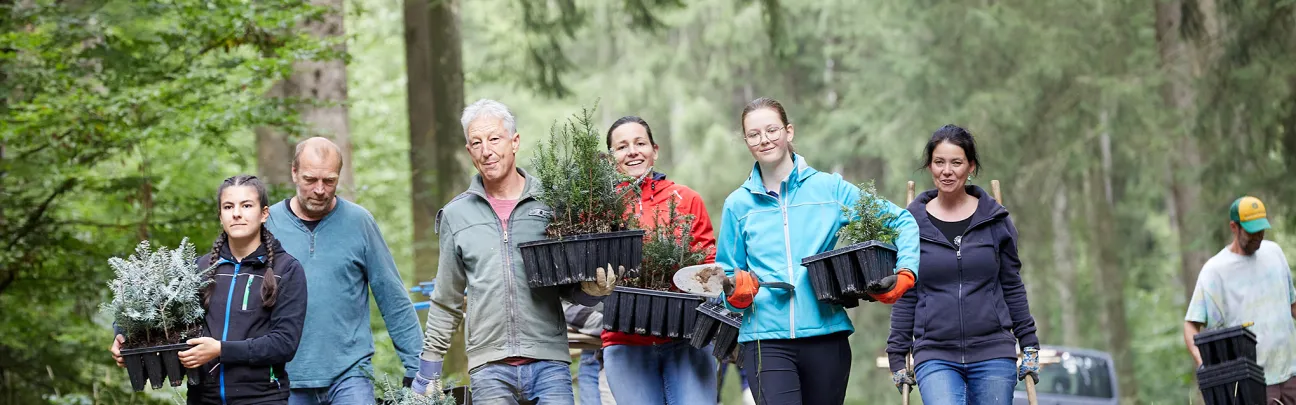Gruppe von Menschen im Wald mit Pflanzgut