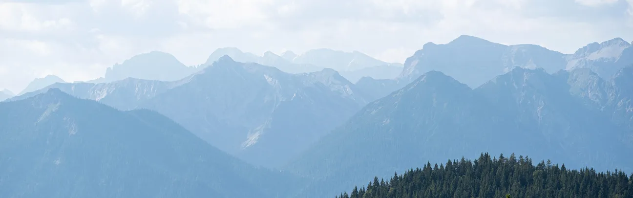 BWP_Oekosysteme_Berglandschaft_BadToelz Blick auf eine bewaldete Berglandschaft
