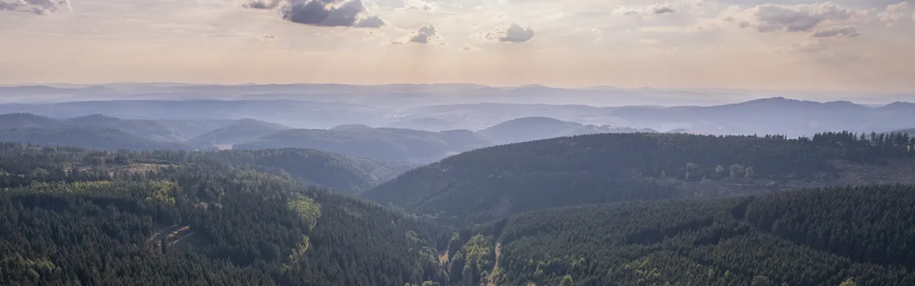 Über dem Wald mit Blick in die Sonne