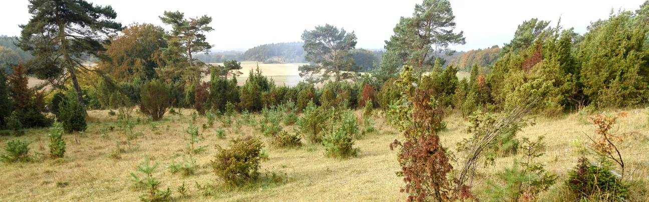 Offene Landschaft in Euskirchen