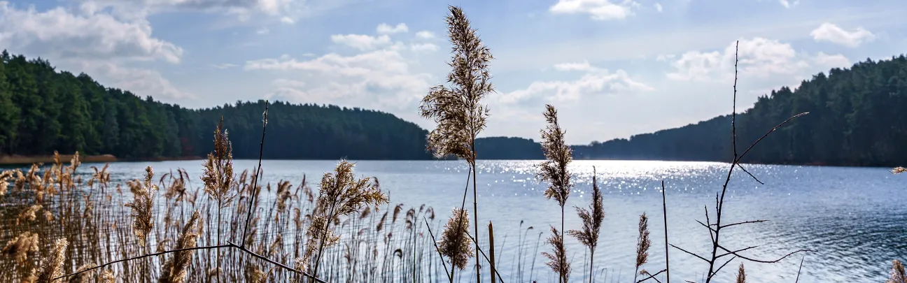 Seenlandschaft in Adamswalde