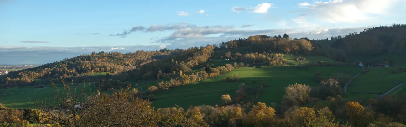 Landschaft in Waldstetten